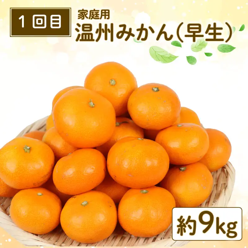 【みかん定期便】みかん定期便3回玉津柑橘倶楽部B030-072048