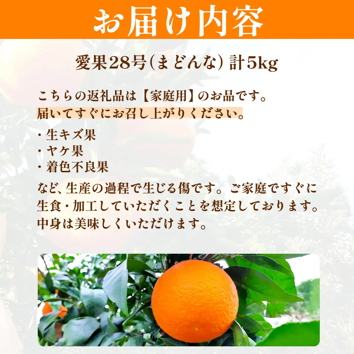 【先行予約】【数量限定】浅野農園の愛果28号（まどんな）家庭用計5kg※離島への配送不可（2026年12月中旬～2027年1月中旬頃に順次発送予定） IKTAC025