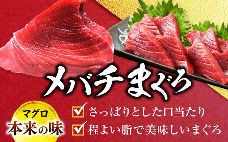 天然 まぐろ 中トロ メバチ 計約1.8kg (8柵入り)  【横須賀商工会議所 おもてなしギフト事務局（本まぐろ直売所 横須賀本店）】[AKAK096]