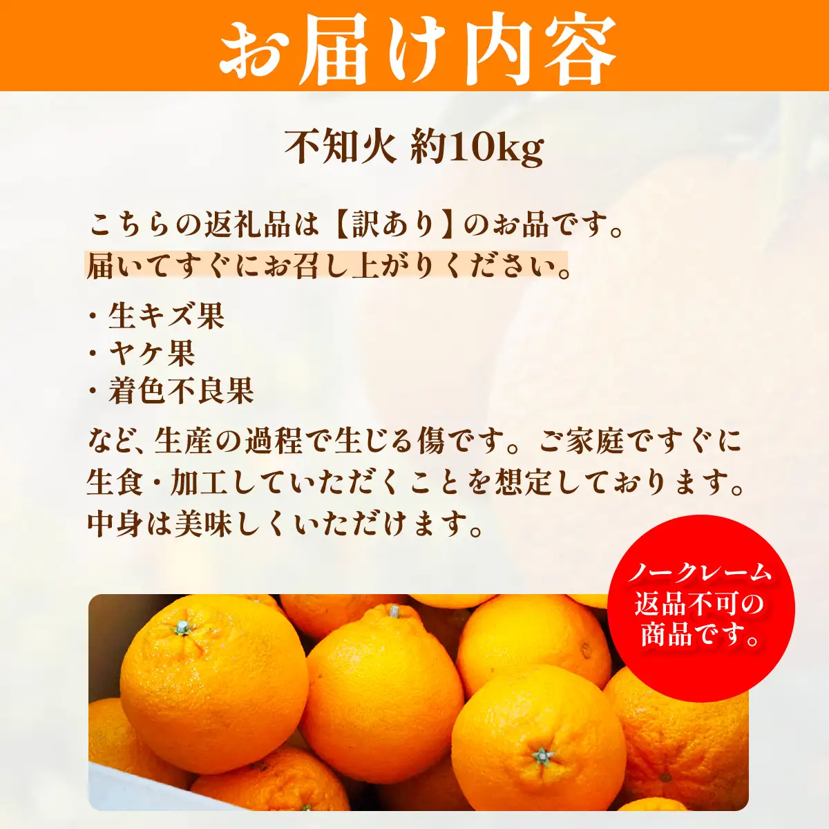 【先行予約】訳あり 不知火 計10kg ※離島への配送不可（2027年2月中旬頃より順次発送予定） IKTAC030