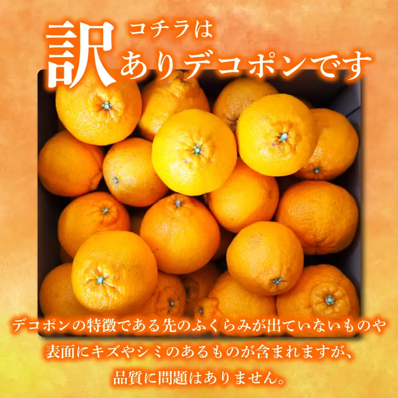 デコポン 不知火 約2kg 2027年 先行予約  訳あり デコポン