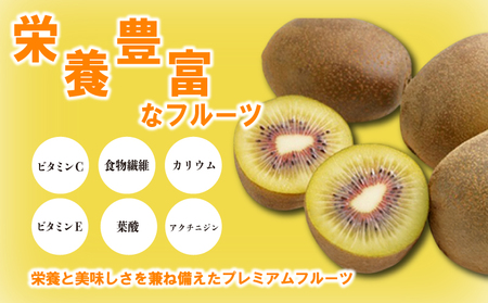さぬきエンジェルスイート キウイ 小玉 約2kg 先行予約 キウイ