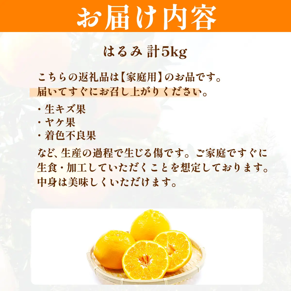 【先行予約】【家庭用】はるみ計5kg※離島への配送不可（2027年2月上旬頃より順次発送予定） IKTAC031