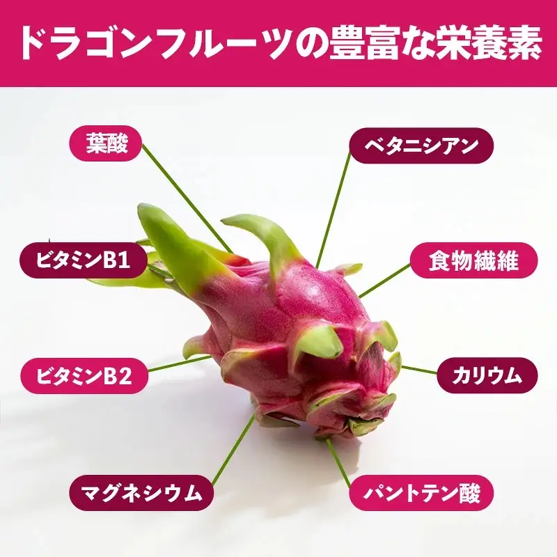 【2026年発送】南国フーズのドラゴンフルーツ 【レッドドラゴンフルーツ】 約2kg - 赤 果肉 レッド ピタヤ スーパーフルーツ 先行受付 先行予約 人気 抗酸化作用 ベタシアニン おすすめ 国産 沖縄県 八重瀬町