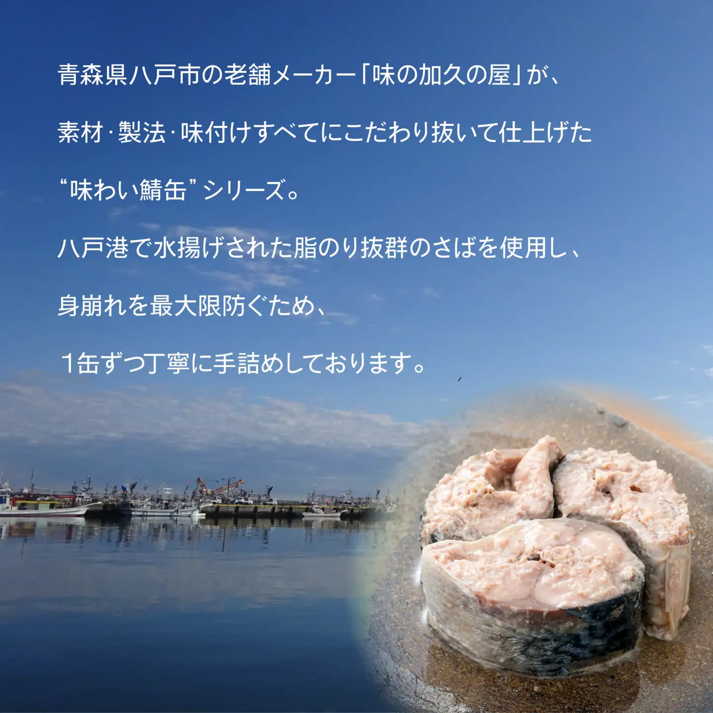 味の加久の屋 味わい鯖缶 水煮 〈24缶〉 サバ缶 鯖缶 青森県 八戸市