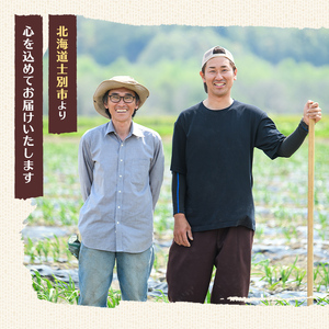 北海道 士別市産 かぼちゃ ブラックのジョー 5kg (2~4玉)【2026年10月から12月の間に順次発送】【やぶかわ農園】【A7091】