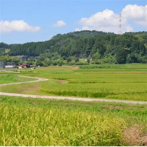 【新米先行受付 2026年10月上旬～順次発送】令和8年富山県産「コシヒカリ」(玄米)30kg×1袋【1656063】