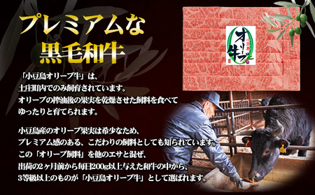 小豆島 オリーブ牛 カルビ 焼き肉用 450g 和牛 黒毛和牛 ブランド牛 国産牛 国産牛肉 牛肉 牛 お肉 肉 焼き肉 焼肉 焼肉用 焼肉用牛肉 牛カルビ 食品 香川 香川県 土庄町
