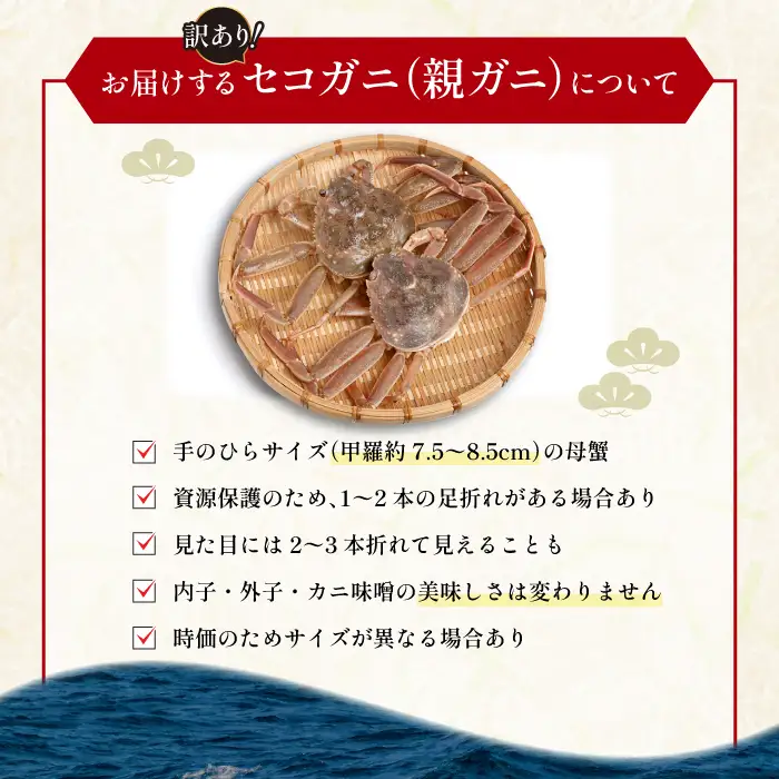 【活き】訳あり足折れご自宅用　日本海産親ガニ（セコガ二） 6枚【訳あり かに カニ 蟹 親ガニ セコガニ ずわいがに ズワイガニ 冷蔵 チルド ブランド 蒸し ボイル 足折れ 自宅用 国産 季節限定 お取り寄せ 鳥取県 日吉津村 日本海】