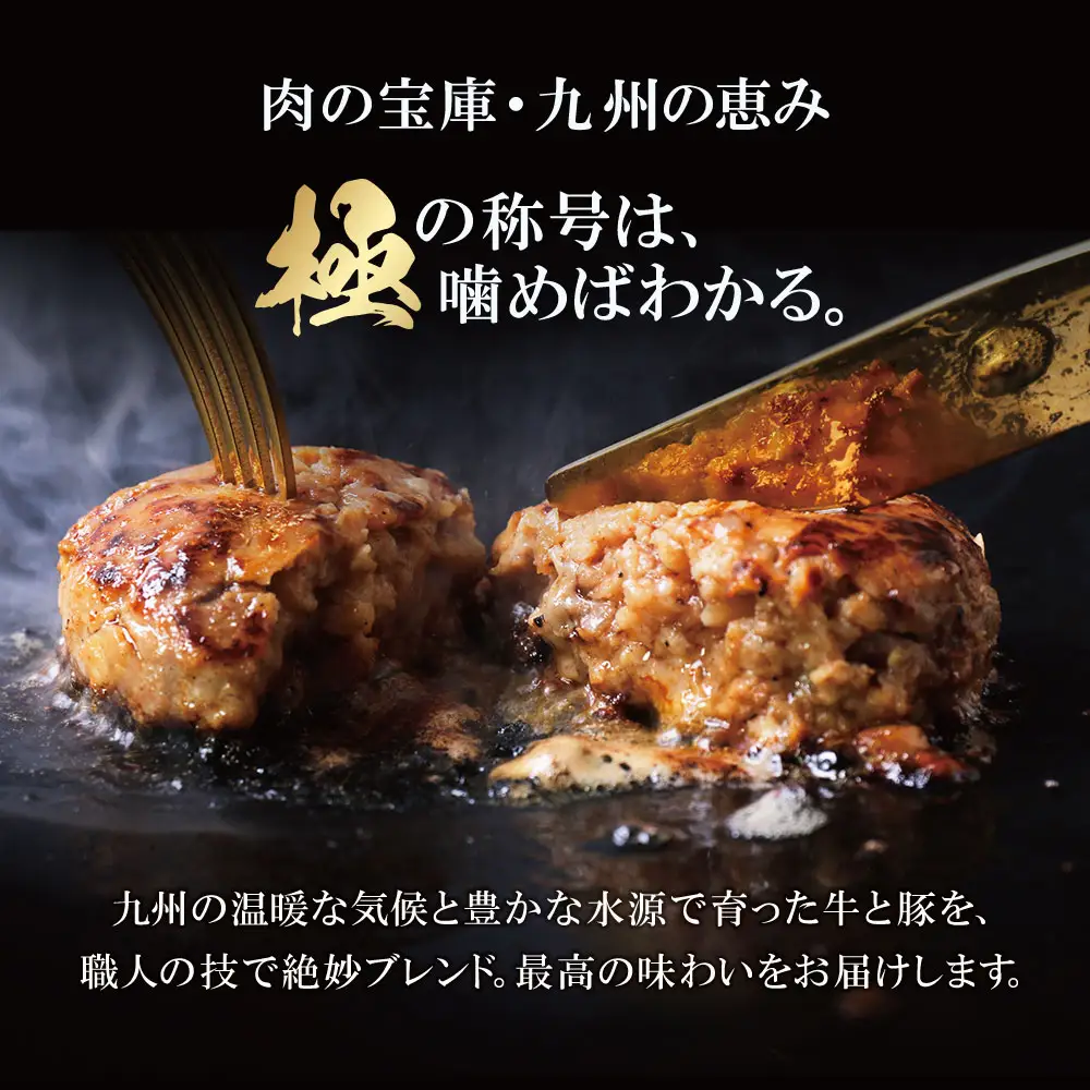 Z61-41 極生ハンバーグ 9個セット(150g×9) ハンバーグ