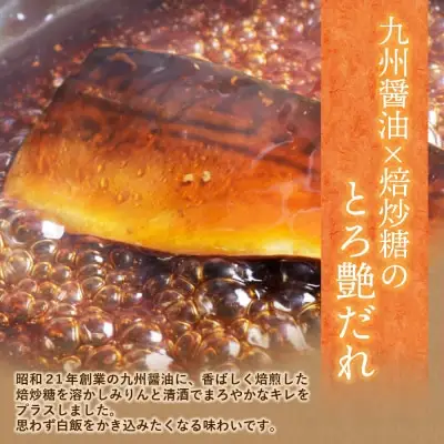 Z61-149 骨取り鯖の煮付け(しょうゆ＆みそ) 各6パック さば