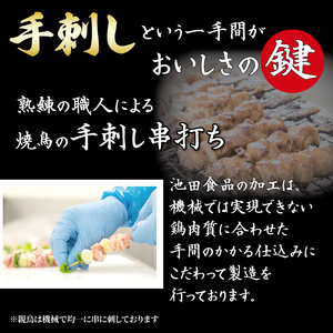 焼鳥 焼き鳥 40本 5種セット 親鳥