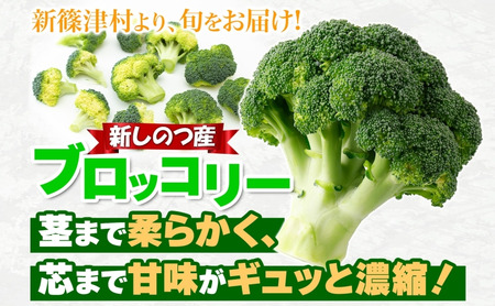 北海道 新しのつ産 ブロッコリー5玉  冷蔵 野菜 旬 食感 茹でる レンジ サラダ 炒め物 オーブン焼き おかず お弁当 甘い お取り寄せ 国産 農作物 JA 新篠津村 