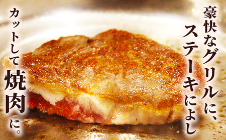 ＜熟成肉 はなが牛リブロースブロック約2kg（2kg×1個）＞ 牛肉 ステーキ 鉄板焼き 焼き肉 国産 塊肉 かたまり 霜降り しもふり バーベキュー BBQ キャンプ アウトドア 特産品 ゆうぼく 愛媛県 西予市【冷凍】『2か月以内に順次出荷予定』UYB0021