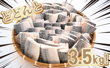 訳あり 塩サバ 腹骨取り 切身 約3.5kg 【12月以降配送】 サバ