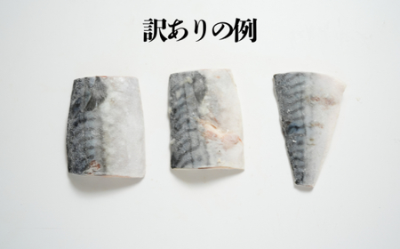 訳あり 霜降り塩サバ 約3.5kg 【12月以降配送】 サバ