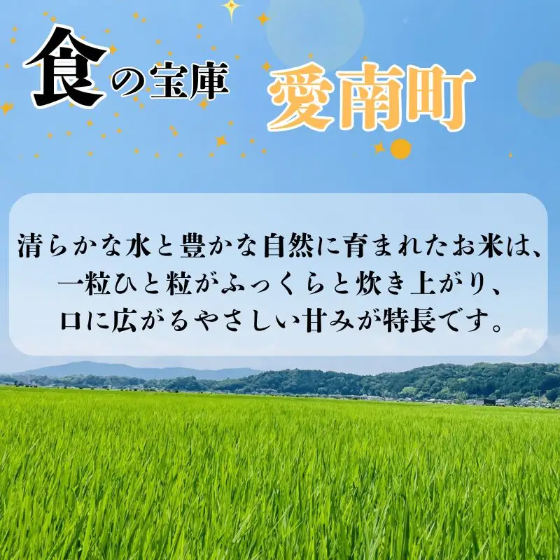 【新米】令和8年産 にじのきらめき 10kg 新米 愛南町 青果市場