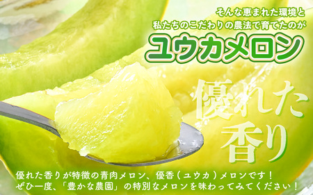 ユウカメロン 2玉 (1玉あたり：1.5kg以上)【2027年6月中旬以降発送】メロン フルーツ [A-21220]
