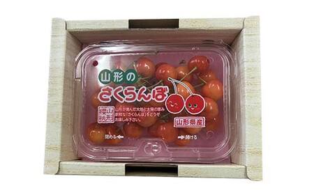 令和9年産【先行受付】山形県産さくらんぼ＜佐藤錦＞秀品 約300g×1P Lサイズ以上 期間限定 数量限定 山形県産 サクランボ フルーツ 果物 くだもの 贈答 F4A-0964