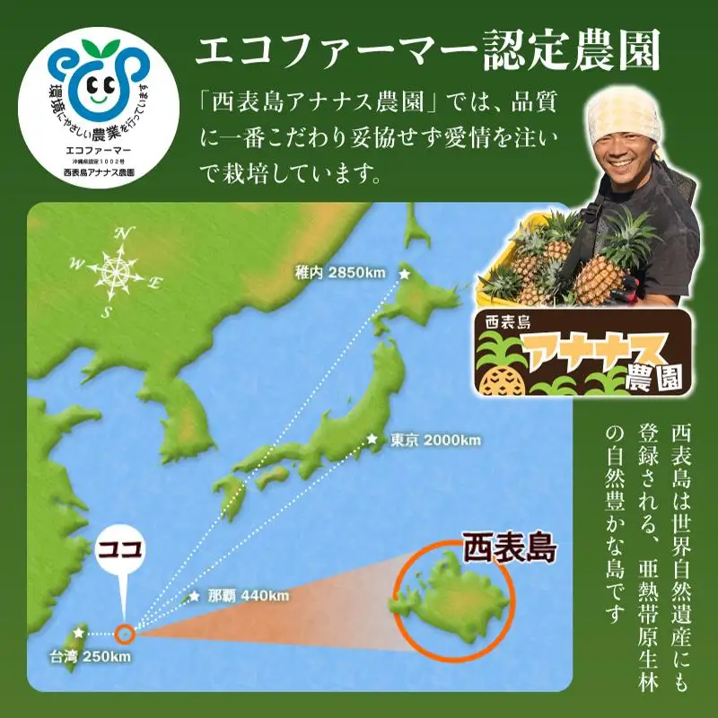 プレミアムピーチパイン 約1.2kg 