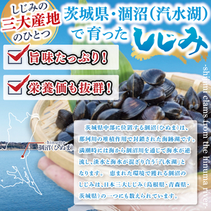 【全３回隔月定期便】茨城県涸沼川産 だしの濃さに違いが出る！手掘しじみ（砂抜き）500g×2個（1kg）（MS-9）