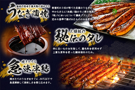 2026年9月配送 鰻楽 うなぎ蒲焼 3尾 C444-2609