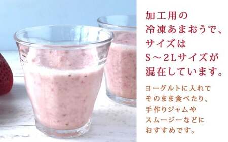 やまや 【濃厚な味わい！】 冷凍いちご 博多あまおう 約1kg 冷凍苺 冷凍イチゴ 苺 いちご イチゴ あまおう