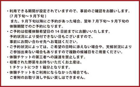 【1組5名まで】 ～自然豊かな久住高原で育った野菜の収穫体験～ 収穫お野菜のお土産付き！ 【体験期間：毎年7月下旬～9月下旬】
