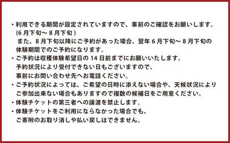 【1組5名まで】 ～自然豊かな久住高原で育ったブルーベリーの収穫体験～ 収穫ブルーベリーのお土産付き！ 【体験期間：毎年6月下旬～8月下旬】