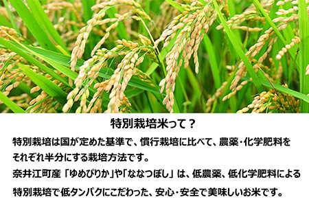 【新米予約】北海道奈井江町　特別栽培米　ゆめぴりか【無洗米】　5kg