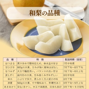 【ふるさと納税】＜梨 詰め合わせ 品種おまかせ 約3kg（3～7玉）和梨 ヒロの果樹園 ＞ なし fruit フレッシュ 旬 果物 くだもの 高知県 佐川町産【常温】＜2025年7月下旬～8月上旬以降発送＞