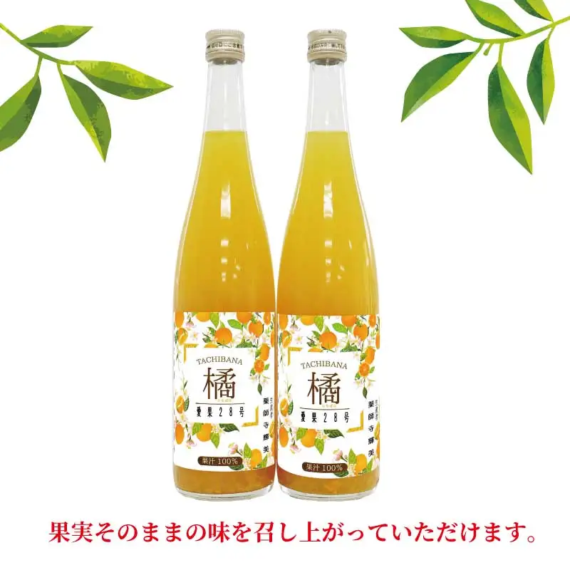 【紅まどんな と同品種】 愛果28号 ジュース 720ml × 2本 セット 元気や まどんな H010-176008
