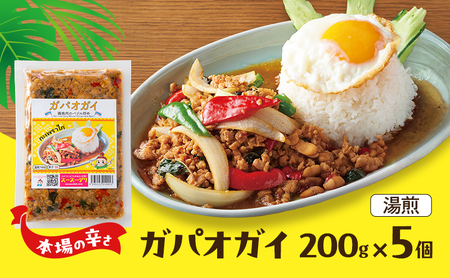 タイ料理 ガパオガイ 5個 本場の辛さ タイ料理