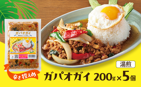 タイ料理 ガパオガイ 5個 辛さ控え目 タイ料理