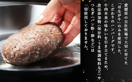 ＜熟成肉 はなが牛ハンバーグ 15個（1個150g）＞ 肉 お肉 牛肉 牛 ビーフ 牛100％ 肉加工品 お惣菜 洋食 おかず 弁当 ランチ ディナー 国産 小分け 個包装 簡単調理 特産品 ゆうぼく 愛媛県 西予市 【冷凍】『2か月以内に順次出荷予定』UYB0026