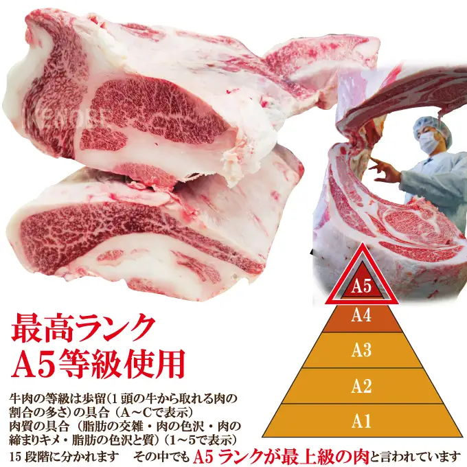 牛肉 切り落し 計1kg  [500g×2パック]  国産 霜降り すき焼き 常陸牛 A5等級 【切り落し】