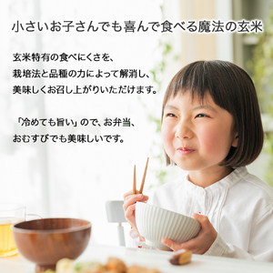 【有機玄米】希少な四万十の香る米 4.8kg（8合×4袋）四万十INEKA（稲華香米）化粧袋仕様 ／Fsg-Z02 ブランド米