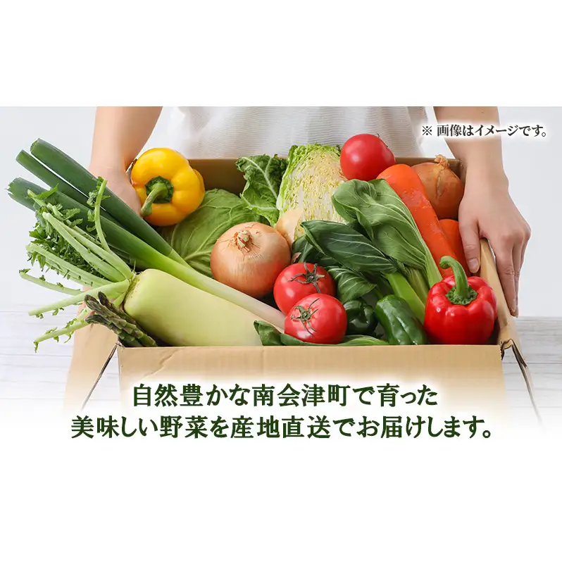 【館長おまかせ！】 南会津町 季節の野菜詰合せ セット 加工食品 