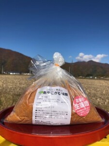 味噌つちっこ田島ファーム 一年熟成あやこがね味噌味噌【1kg×5袋計5kg】