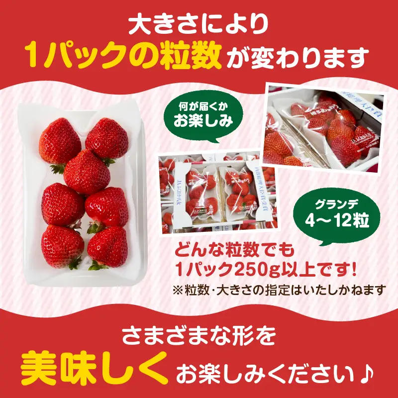 【先行受付：2027年2月発送開始】博多あまおうＧ250g×4パック 1000g アフター保証 数量限定 大きめ果実のあまおう 002-003-F