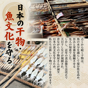 未来干物 おまかせ3種セット 合計6パック