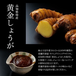 塩仕込みハンバーグ 2個入り 黄金しょうがソース付 1袋 