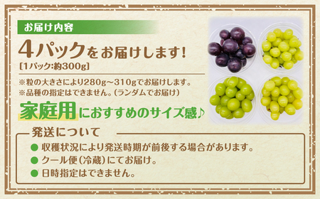 先行予約 ぶどう 2～4種 食べ比べパック 約300g×4 訳あり粒タイプ 福島県 田村市
