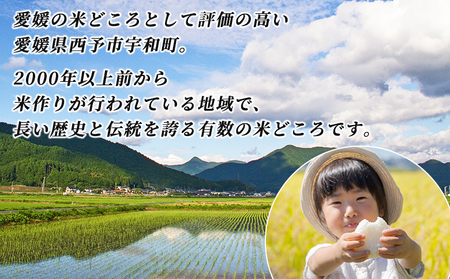 ＜令和7年産 愛媛県西予市産 コシヒカリ 5kg＞ 5キロ こしひかり 国産 宇和米 お米 コメ ライス こめ ごはん 白米 精米 米 西予応援米 愛媛県産 宇和町産 KAZUファーム 愛媛県 西予市【常温】『2025年10月～12月に順次発送予定』UKF0001
