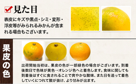 訳あり 小玉みかん 10kg 《9月下旬-12月下旬頃出荷》秋 旬 不揃い 傷 ご家庭用 SDGs たっぷり 熊本県 産 S-3Sサイズ フルーツ 柑橘 