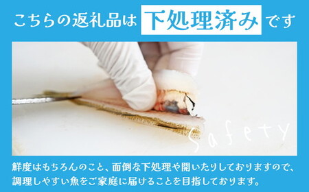 【定期便】鮮度抜群！旬の鮮魚おまかせセット 食べきり6パック セット ※北海道・沖縄・離島への配送不可