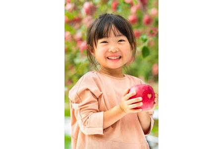 【2026年12月下旬発送】【家庭用】 りんご 約5kg サンふじ 青森県産 葉とらずりんご