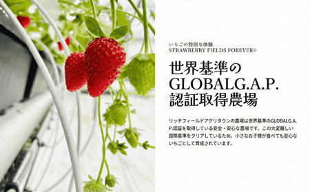 【 冷凍 いちご 】 訳あり ｜  冷凍いちご 2kg