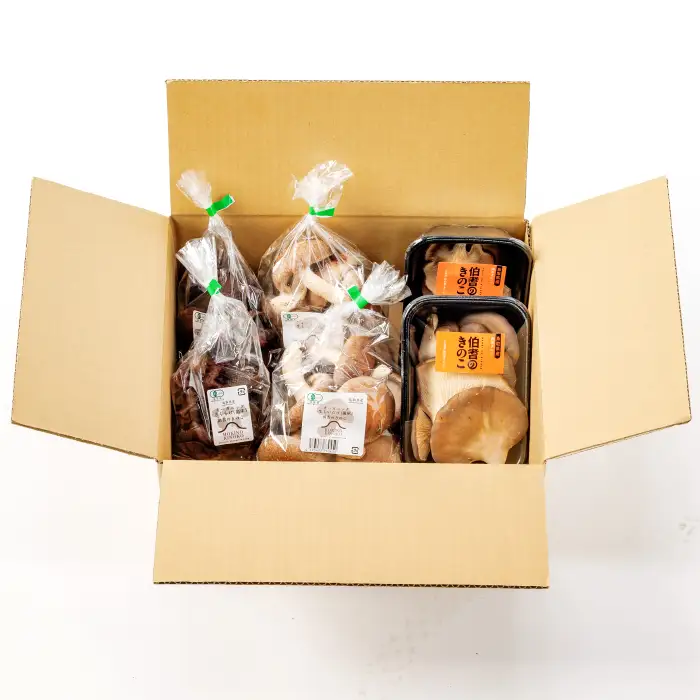 プロが厳選！オーガニックきのこ３種盛り(1kg)【しいたけ きくらげ ひらたけ たもぎたけ なめこ 黒あわびたけ やまぶしたけ おまかせ 厳選】