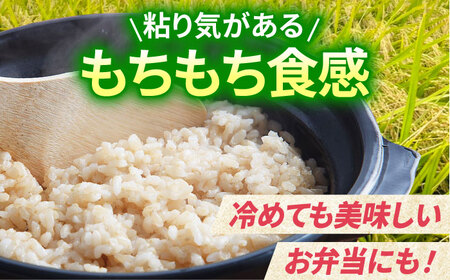 【11月発送】令和7年産 夢しずく 玄米 10kg（5kg×2袋）【江頭農園】 [HAU005] 特A
